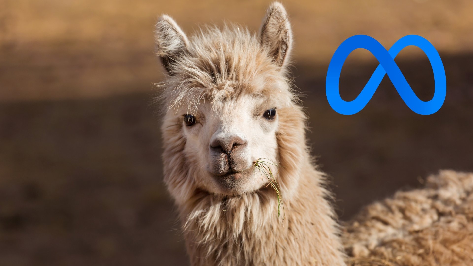 Meta llama