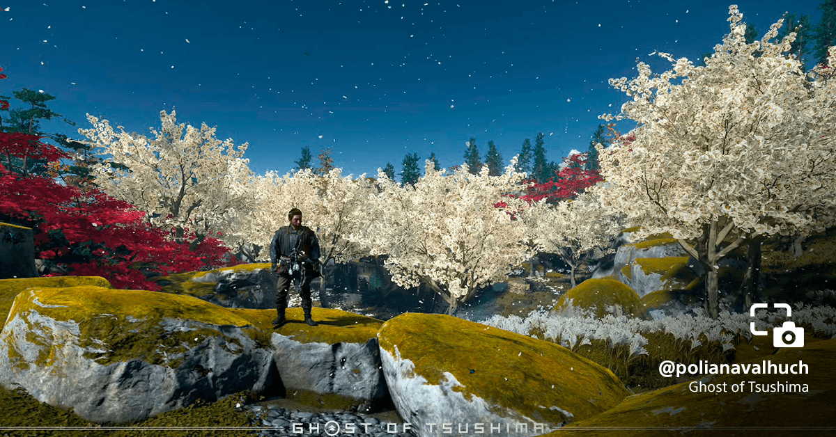 Cores vibrantes na primavera